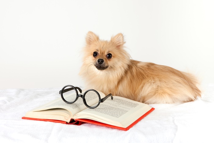 �ݷ����������� �ڰ��� ��� �� �� ���