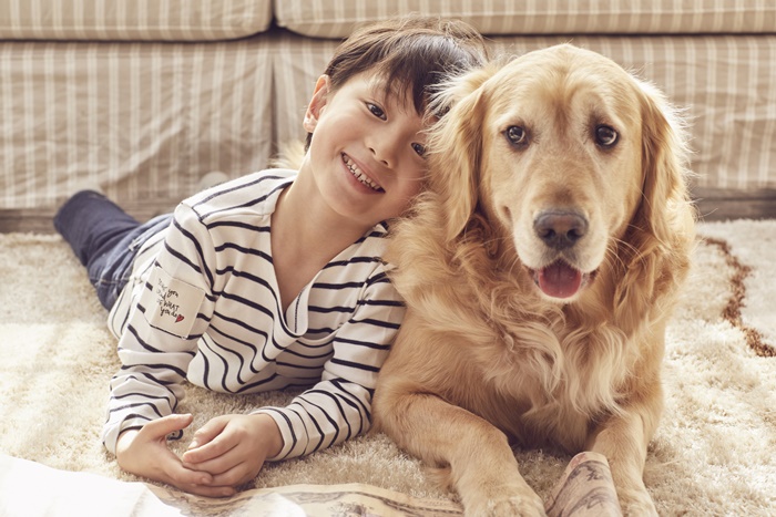 �ݷ��߿������1�� ���ᱳ��