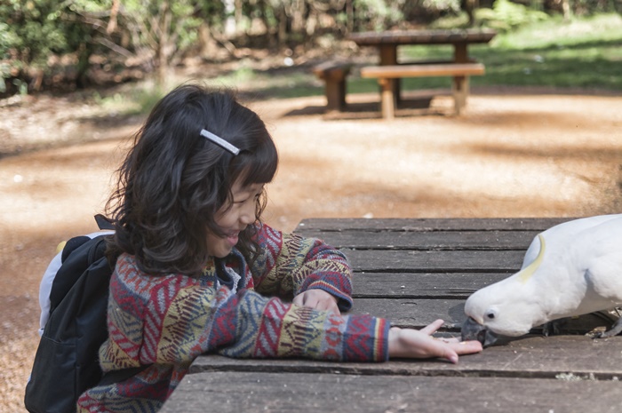 �ݷ���������1�� ���ᱳ��