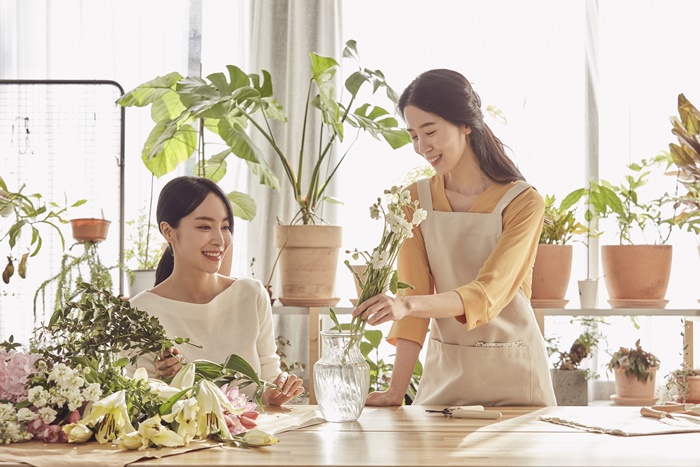 �÷θ���Ʈ ���Ǹ޼���