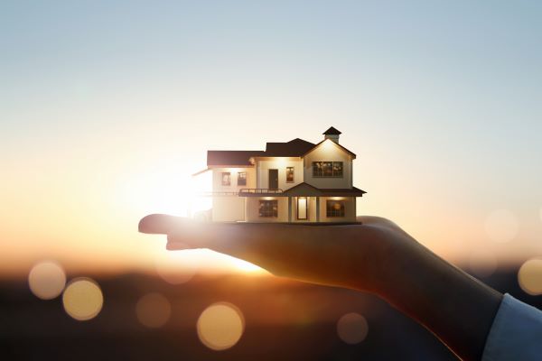 �ְžȽɸŴ���1�� ������̹���