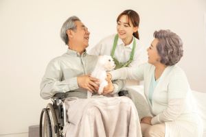 ��Ȱ������ ������̹���